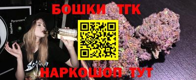 МДПВ Лесосибирск