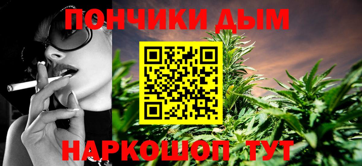 Канабис семена Губкин